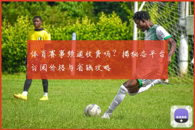体育赛事频道收费吗?揭秘各平台订阅价格与省钱攻略