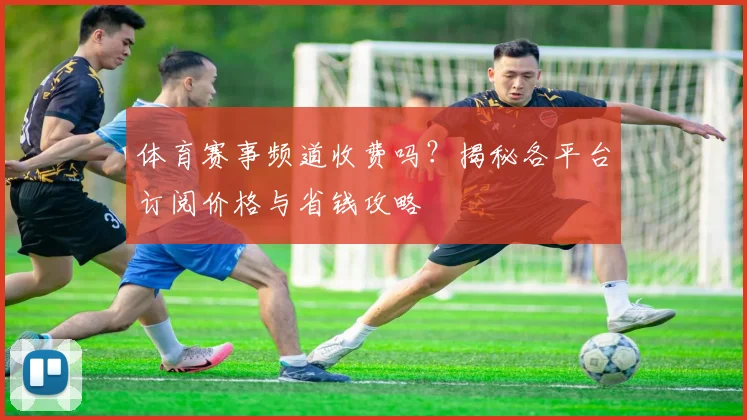 体育赛事频道收费吗？揭秘各平台订阅价格与省钱攻略